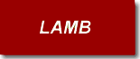 Lombardi's Prime Meats - Lamb