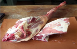 Lamb Photo - Lombardi's Meats - South Philadelphia